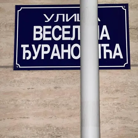 Thousand Roses